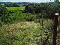 A veiw of the Dog Reserve
